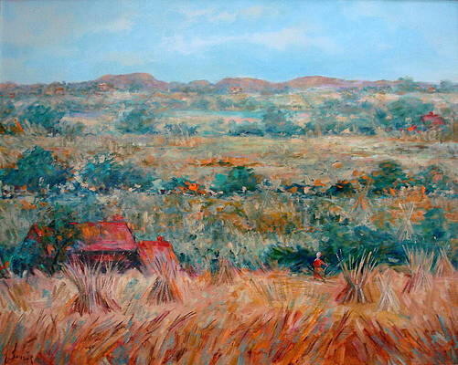 Hayfields 24x30 x0.75 inches